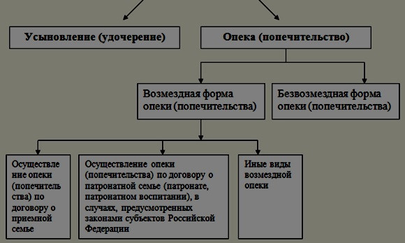 ctvtqyst_ajhvs.jpg