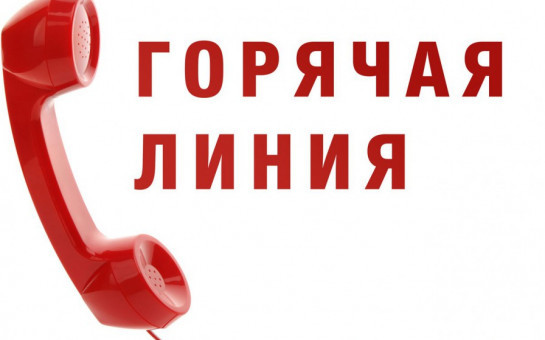 	                                       ПРЯМАЯ ЛИНИЯ 																																																																				