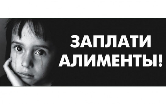 Из зала судебного заседания